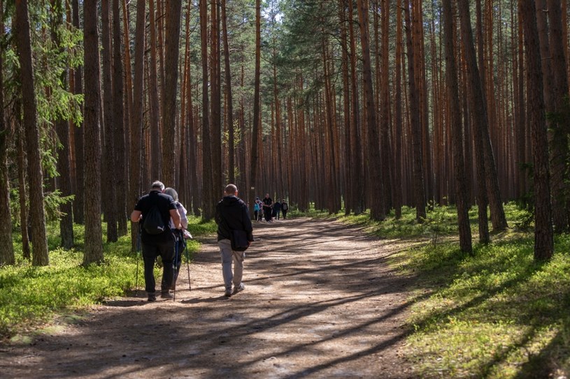 Nowoczesne uzdrowisko w środku lasu. Perła ukryta na Kujawach