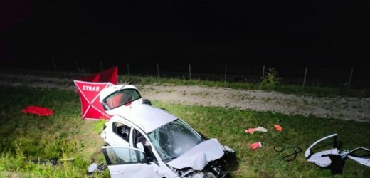 Tragiczny wypadek w Zarzeczu. Zginęła 19-latka