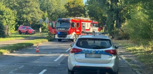 Wypadek w Gliwicach. Auto potrąciło rowerzystkę