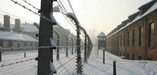 Książka o obozie Auschwitz dla dzieci. „Trzeba i powinno się mówić”