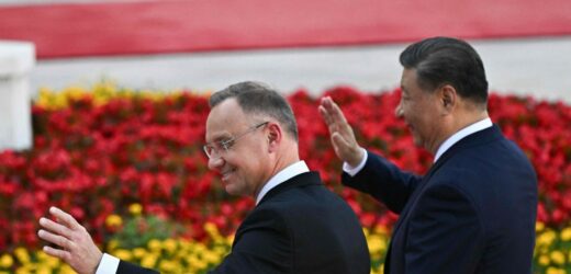 Czy Niemcy powinni brać przykład z Polaków? Eksperci zachwyceni „operacją w Chinach”