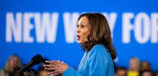 „Zakaz zawyżania cen żywności, ulgi na dzieci”. Kamala Harris przedstawiła program gospodarczy
