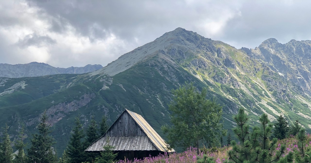 Prawie 3 mln turystów do końca lipca. Tatry biją rekord popularności