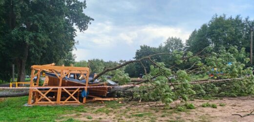 Drzewo przewróciło się na kobietę. Burzowo na Warmii i Mazurach