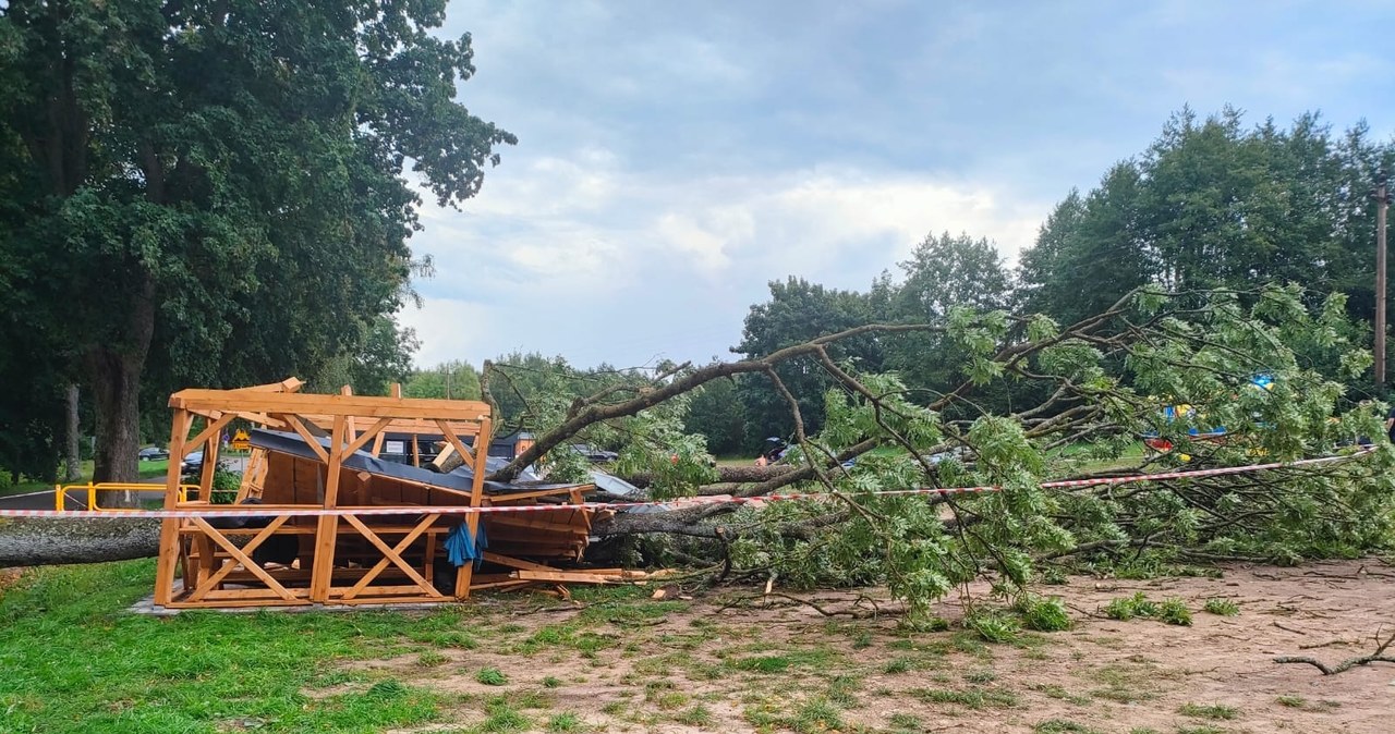 Drzewo przewróciło się na kobietę. Burzowo na Warmii i Mazurach
