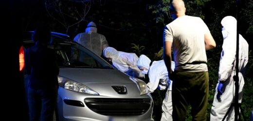 Zabójstwo kobiety w Gdańsku. Policja zatrzymała mężczyznę