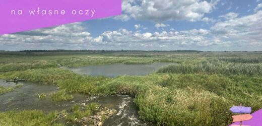 Polska na własne oczy: Podlasie. Bliskość natury i nieoczywiste uroki wschodniej Polski