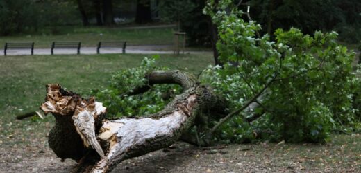W Warszawie woda zalała jezdnie. Policja apeluje, by nie korzystać z samochodów