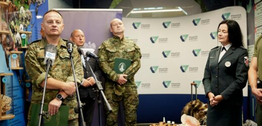 Rafa koralowa, muszle i mięso. Co Polacy przywożą z wakacji?