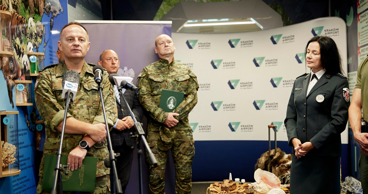 Rafa koralowa, muszle i mięso. Co Polacy przywożą z wakacji?