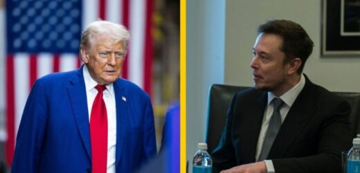 Elon Musk o pracy dla Donalda Trumpa: Jestem gotów służyć