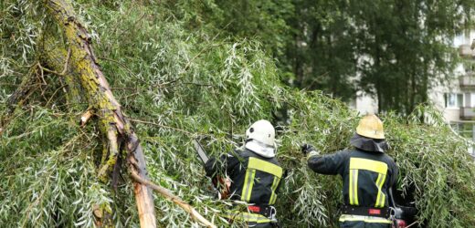 Burze na Podkarpaciu. Zerwane dachy i linie energetyczne, powalone drzewa