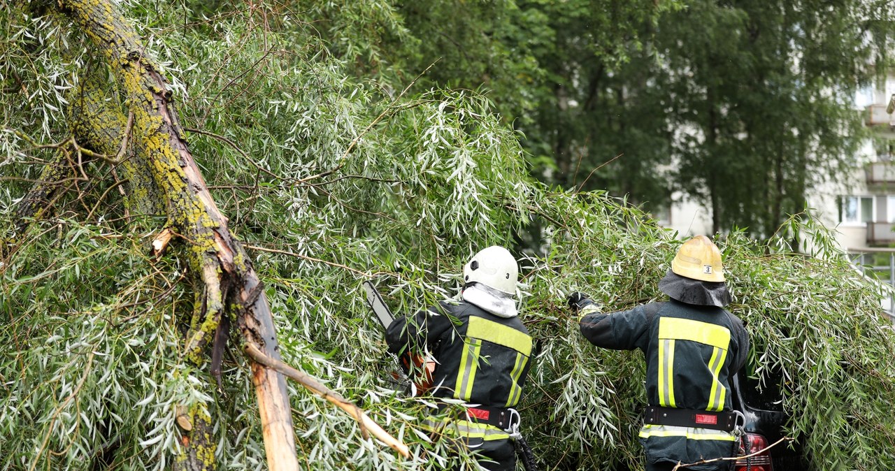 Burze na Podkarpaciu. Zerwane dachy i linie energetyczne, powalone drzewa