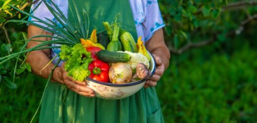 Obniżają ciśnienie, wspomagają krążenie. Te warzywa jedz codziennie