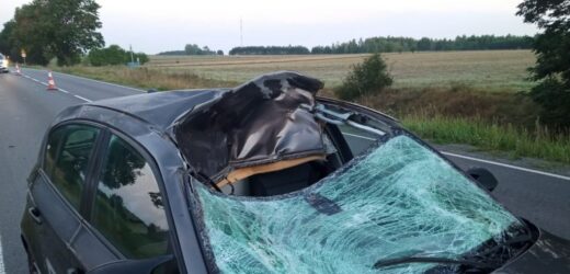 Groźne zderzenie bmw z łosiem. Jedna osoba w szpitalu [ZDJĘCIA]