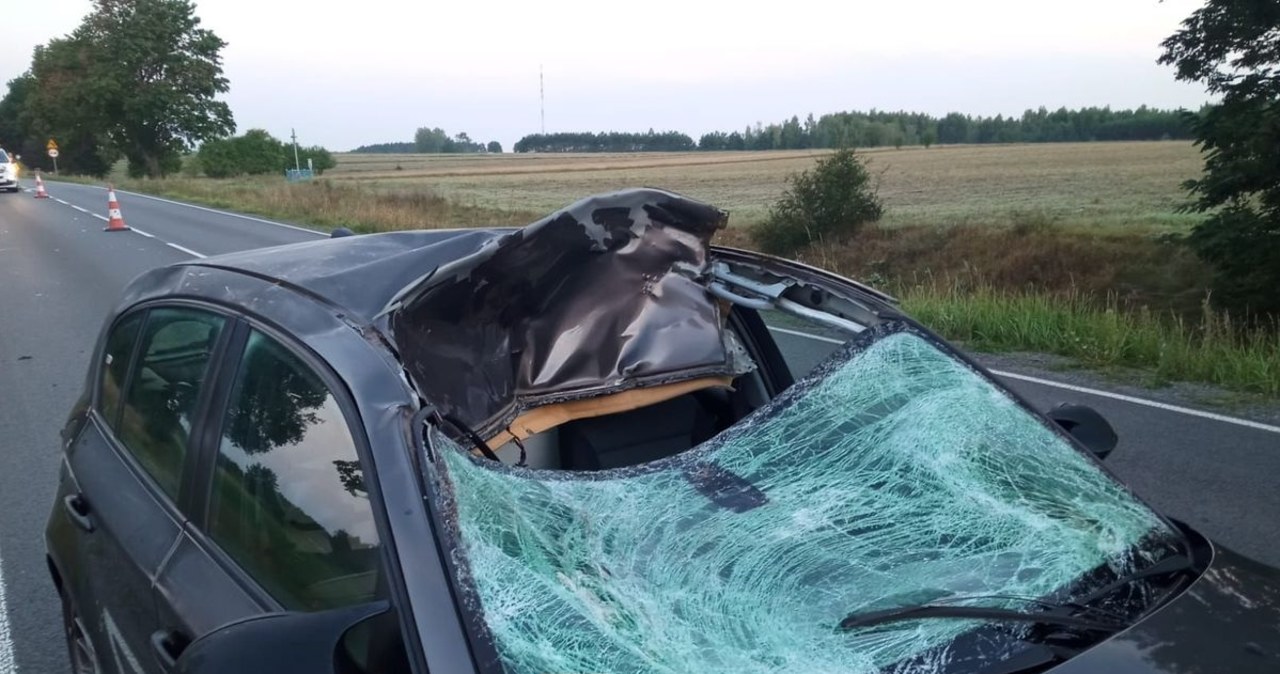 Groźne zderzenie bmw z łosiem. Jedna osoba w szpitalu [ZDJĘCIA]