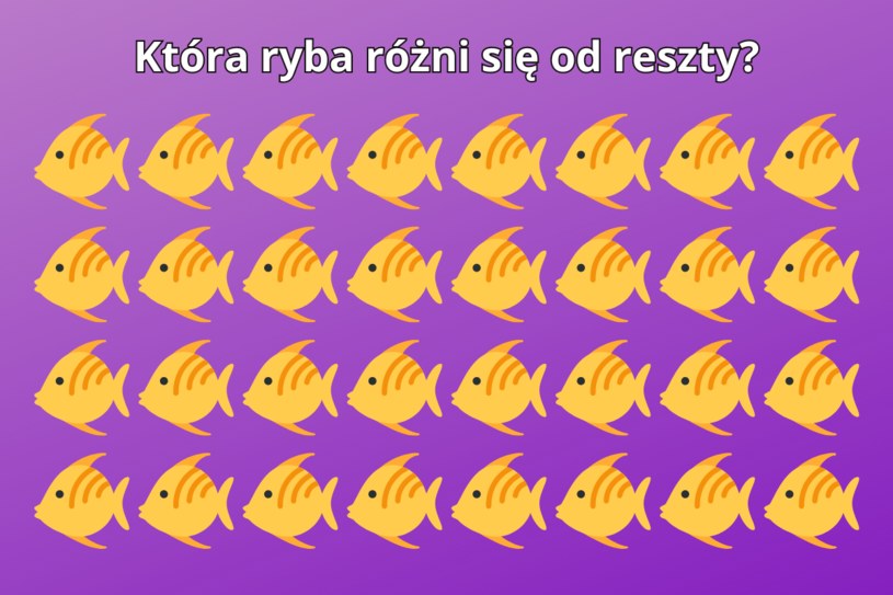Test na spostrzegawczość: Czy dostrzeżesz różnicę w 5 sekund? Powodzenia!