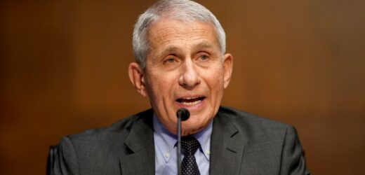 Immunolog Anthony Fauci zaraził się wirusem Zachodniego Nilu