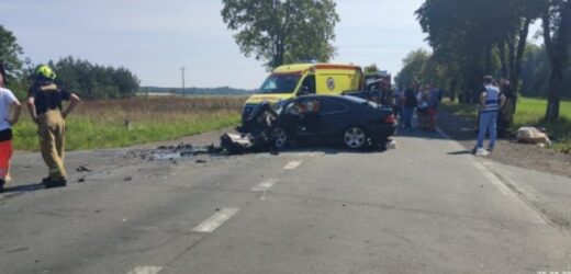 Tragedia koło Płocka. W wypadku zginęli młodzi ludzie, mieli 21 i 16 lat