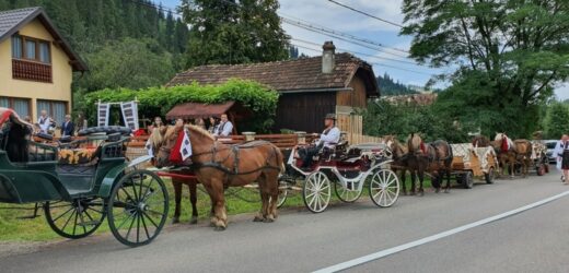 Koń kopnął 14-latka. O krok od tragedii podczas orszaku weselnego