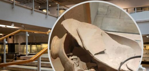Incydent w muzeum. Rozbito dzban sprzed 3,5 tys. lat