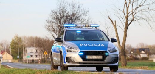 Sprawdzał celność wiatrówki i postrzelił kota. Zwierzę zostało uśpione