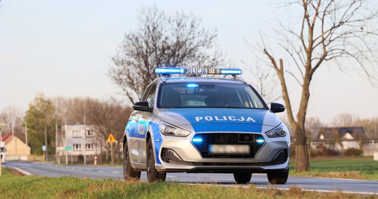 Sprawdzał celność wiatrówki i postrzelił kota. Zwierzę zostało uśpione
