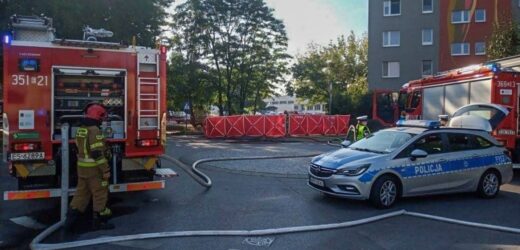73-latek spłonął w aucie elektrycznym. „Wzywał pomocy przez okno”