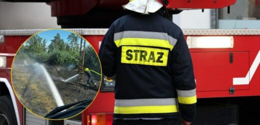 Pożar nasypu kolejowego w Wielkopolsce. Wstrzymany był ruch pociągów