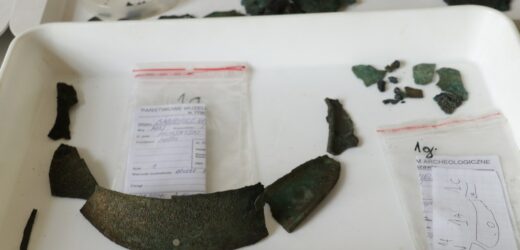 Cenne znalezisko na Mazowszu. „To być może sensacja na skalę światową”