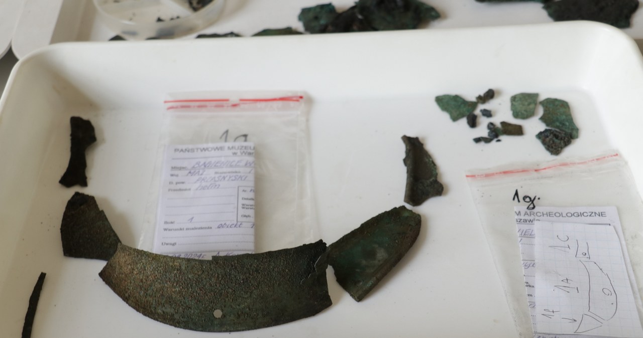 Cenne znalezisko na Mazowszu. „To być może sensacja na skalę światową”