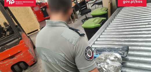 W paczce miała być kamizelka, była marihuana