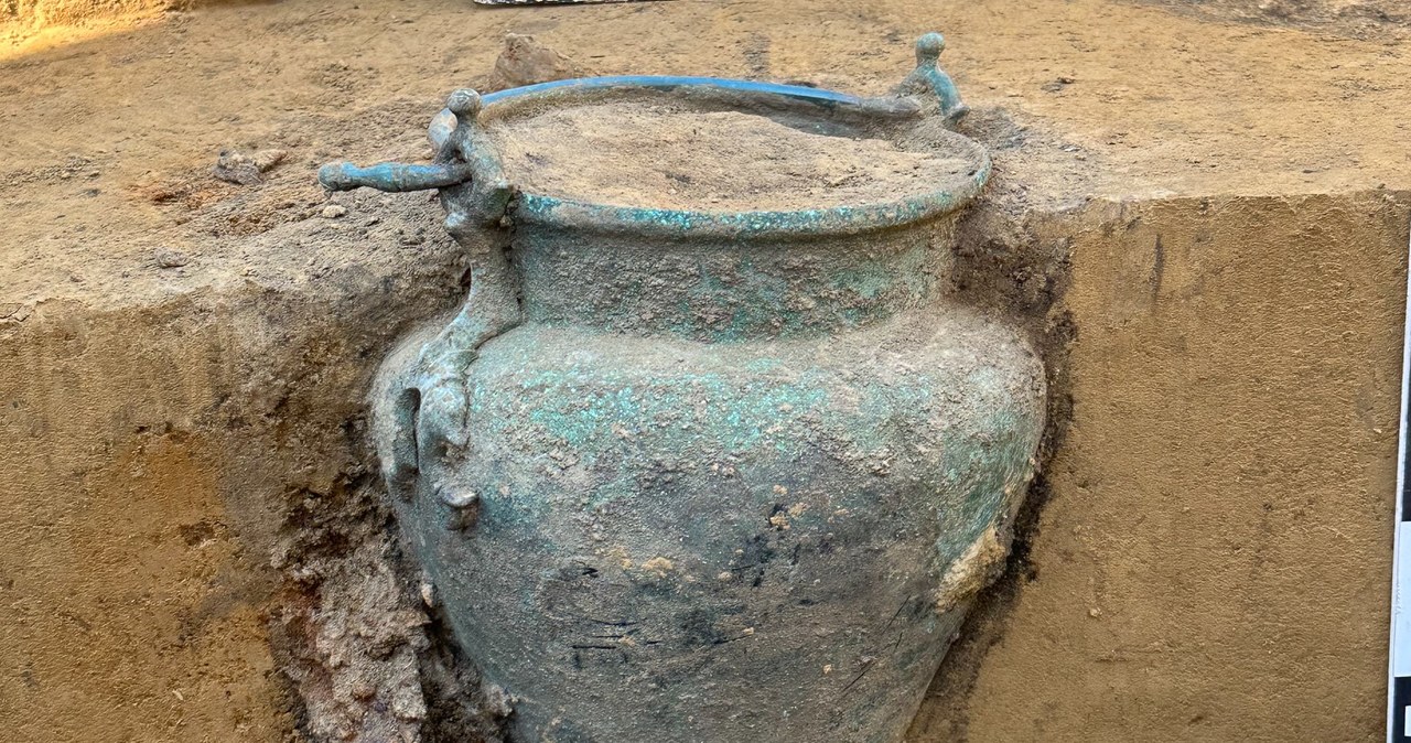 Spektakularne odkrycie archeologów w Kazimierzy Wielkiej