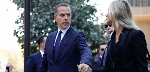 ​Hunter Biden przyznał się do winy. Może czekać go długie więzienie