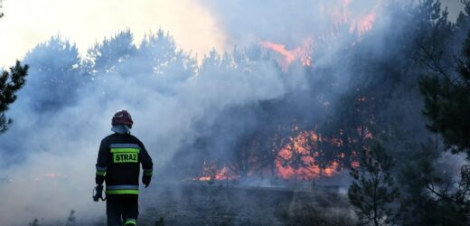Ekstremalne zagrożenie pożarowe w lasach