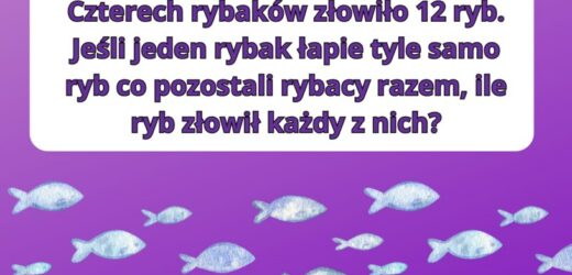 Trening logicznego myślenia. Sprawdź swoją szybkość umysłu