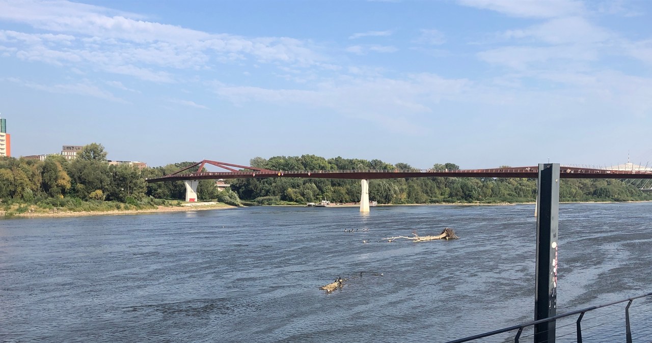 Niezwykle niski poziom Wisły w stolicy. Do rekordu brakuje niewiele