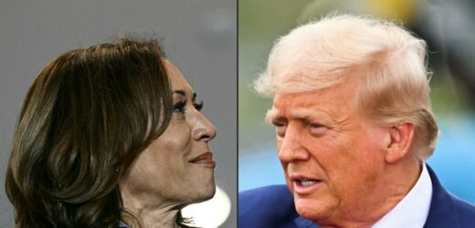 Donald Trump kontra Kamala Harris. Jest najnowszy sondaż