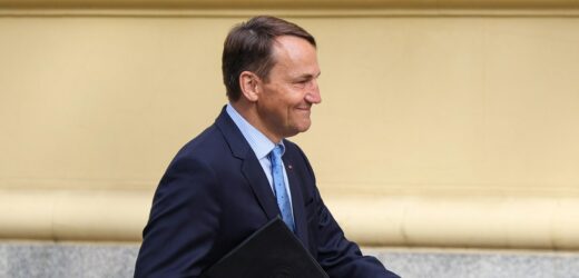 Zamieszanie z Legionem Ukraińskim. Sikorski wprowadzony w błąd?