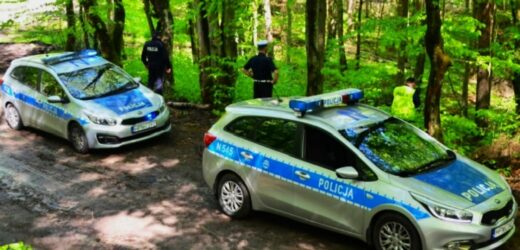 ​Wielkie poszukiwania w lesie. Pijana kobieta zaginęła z 9-letnią córką