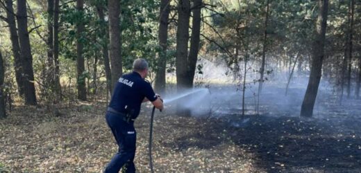 Policjant i strażak w jednym. Bohaterska akcja z Podlasia