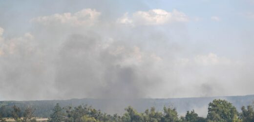 ​Sprawa pożarów na Międzyodrzu przekazana do ABW