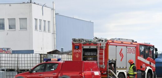 Trwa ustalanie przyczyny pożaru na gdańskich Stogach