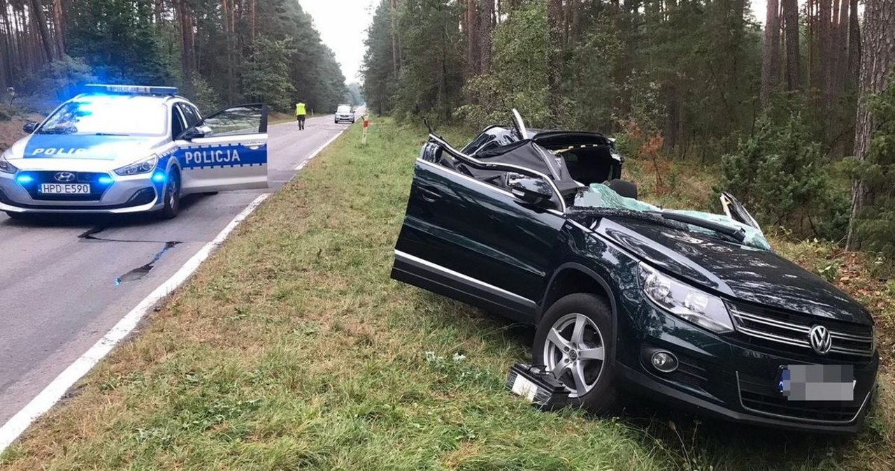 Drzewo zmiażdżyło samochód. 58-latek w szpitalu