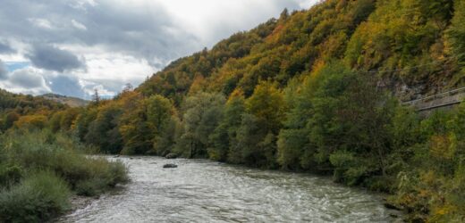 „Nie zbliżaj się do wezbranych rzek”. Alert RCB dla 11 województw