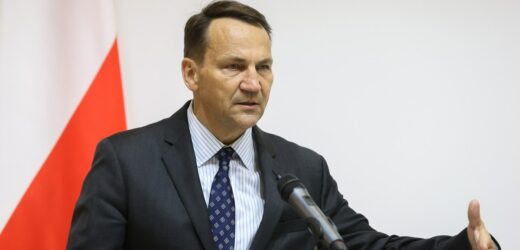 Sikorski w Kijowie. Mówił o zbrodni wołyńskiej i samolotach MiG-29 dla Ukrainy