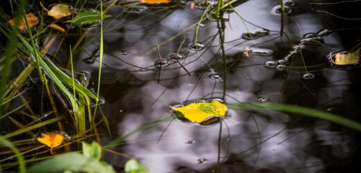 „Pogoda stabilizuje się”. Niż genueński odsunął się od Polski