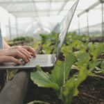 Specjaliści wskazali zawód przyszłości. Na czym polega profesja „zadziczacza”?