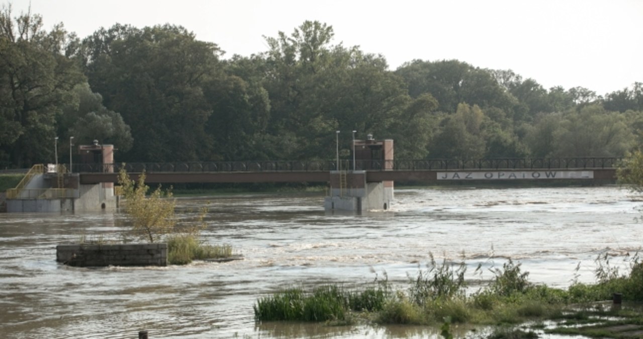 Przez Wrocław przechodzi fala powodziowa, sytuacja pod kontrolą [RELACJA NA ŻYWO]