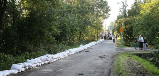 Powódź w Polsce. Są zakazy wchodzenia do lasów